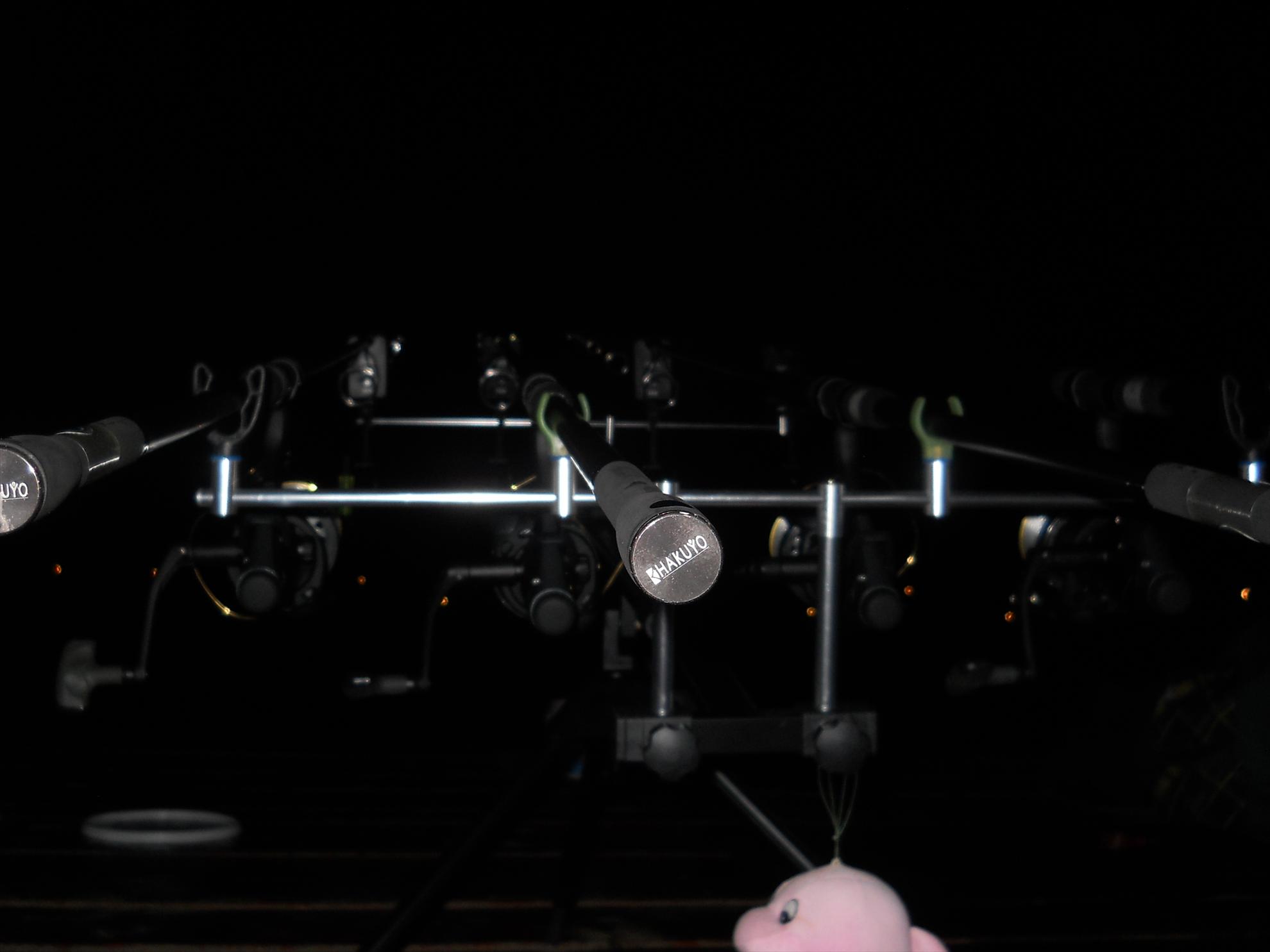 Pleasa 2012 - dscn1046.JPG